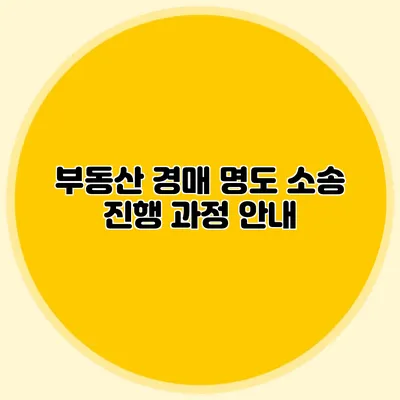 부동산 경매 명도 소송 진행 과정 안내