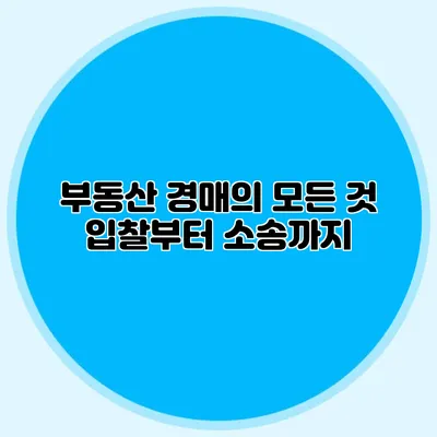부동산 경매의 모든 것: 입찰부터 소송까지