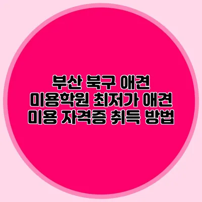 부산 북구 애견 미용학원 최저가 애견 미용 자격증 취득 방법