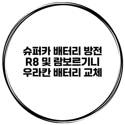슈퍼카 배터리 방전 R8 및 람보르기니 우라칸 배터리 교체
