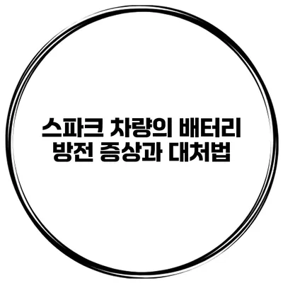 스파크 차량의 배터리 방전 증상과 대처법