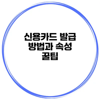 신용카드 발급 방법과 속성 꿀팁
