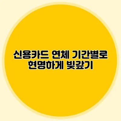 신용카드 연체 기간별로 현명하게 빚갚기