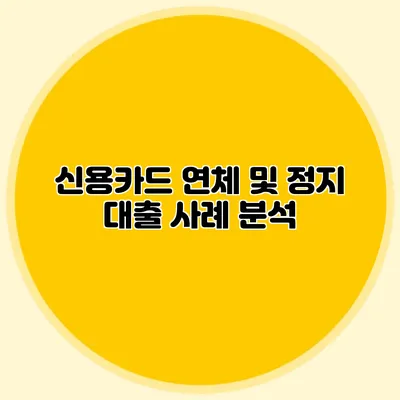 신용카드 연체 및 정지 대출 사례 분석
