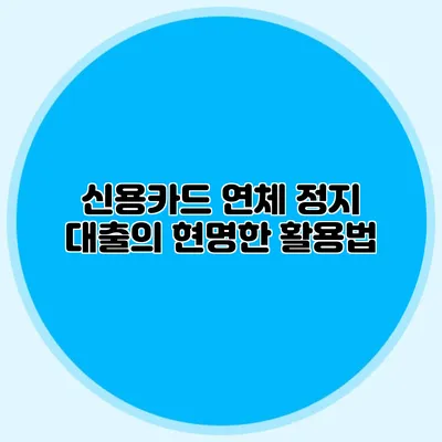 신용카드 연체 정지 대출의 현명한 활용법
