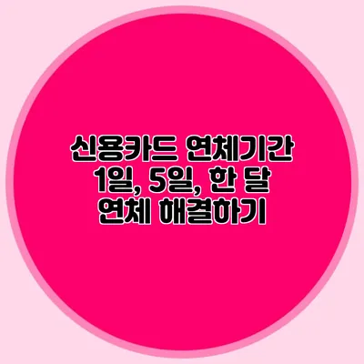 신용카드 연체기간 1일, 5일, 한 달 연체 해결하기