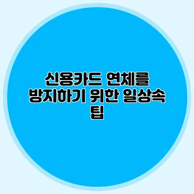 신용카드 연체를 방지하기 위한 일상속 팁