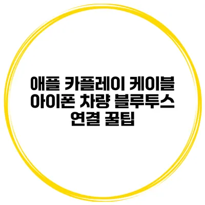 애플 카플레이 케이블 아이폰 차량 블루투스 연결 꿀팁