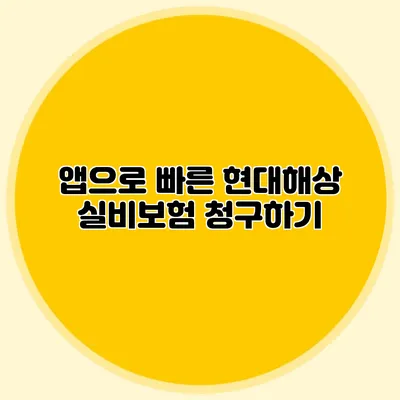 앱으로 빠른 현대해상 실비보험 청구하기