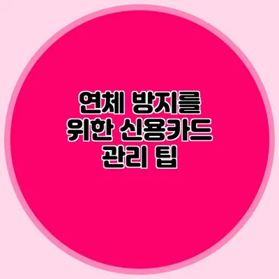 연체 방지를 위한 신용카드 관리 팁