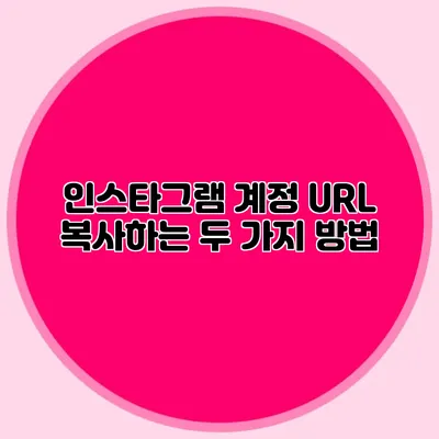 인스타그램 계정 URL 복사하는 두 가지 방법