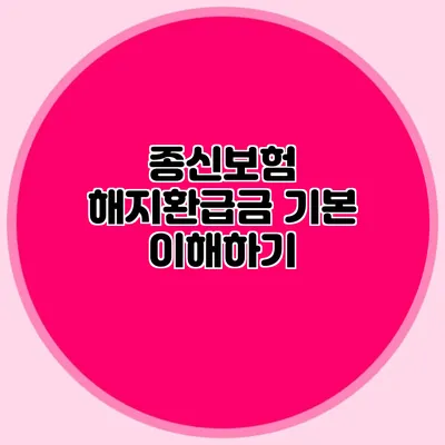 종신보험 해지환급금 기본 이해하기