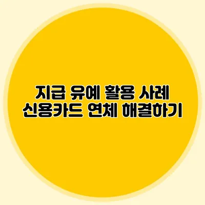 지급 유예 활용 사례 신용카드 연체 해결하기