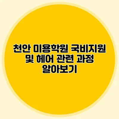 천안 미용학원 국비지원 및 헤어 관련 과정 알아보기