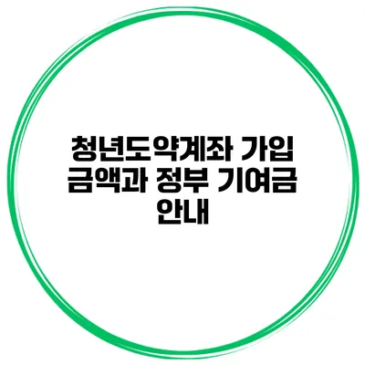 청년도약계좌 가입 금액과 정부 기여금 안내