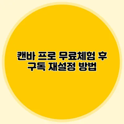 캔바 프로 무료체험 후 구독 재설정 방법