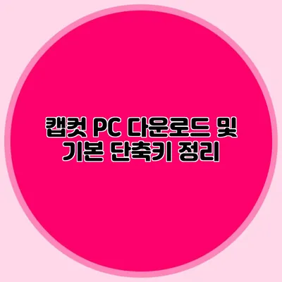 캡컷 PC 다운로드 및 기본 단축키 정리