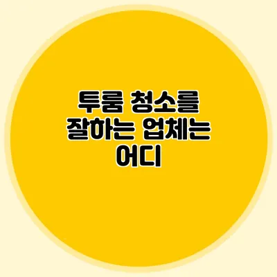 투룸 청소를 잘하는 업체는 어디?