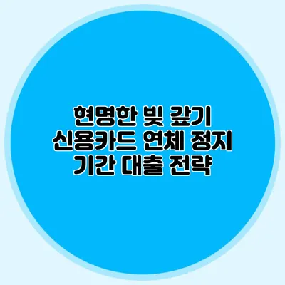 현명한 빚 갚기: 신용카드 연체 정지 기간 대출 전략